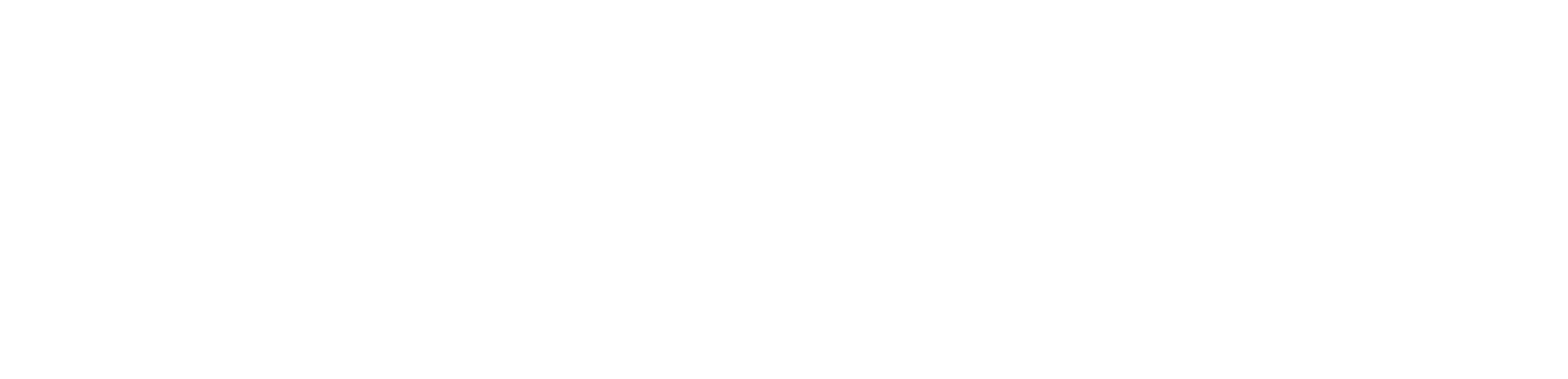 01_pw_logo_horizontal_white_500px